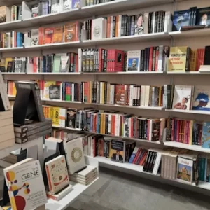 Diverse Selection of Books